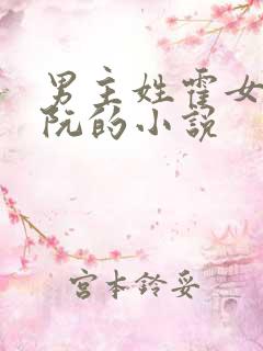 男主姓霍女主姓阮的小说