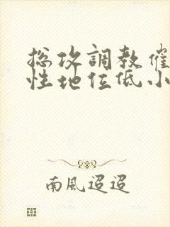 总攻调教催眠双性地位低小说