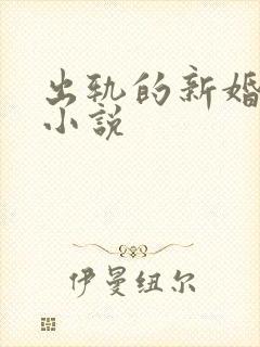 出轨的新婚少妇小说