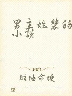 男主姓裴的古代小说