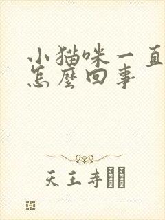 小猫咪一直踩奶怎么回事