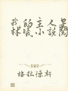 我的主人是妹妹林曦小说阅读