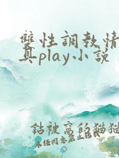 双性调教情趣玩具play小说