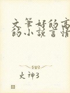 文笔好的高质量的小说言情已完结