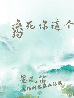 操死你这个骚母狗