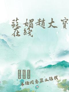 苏媚赵大宝小说在线