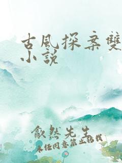 古风探案双男主小说