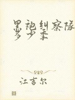 黑袍纠察队一共多少季