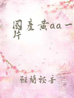 国产黄aa一级片