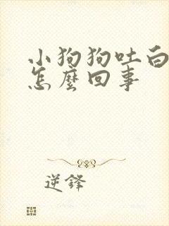 小狗狗吐白沫是怎么回事