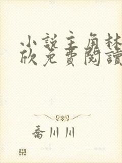 小说主角林峰宁欣免费阅读全文