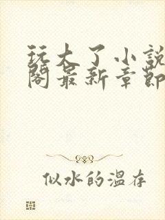 玩大了小说笔趣阁最新章节无弹窗