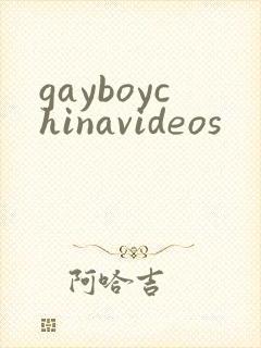 gayboychinavideos