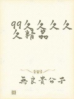 99久久久久久久精品