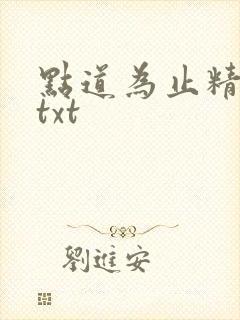 点道为止精校版txt