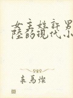 女主姓许男主姓陆的现代小说