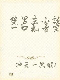 双男主小说推荐一口气看完