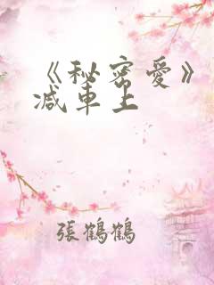 《秘密爱》未删减车上