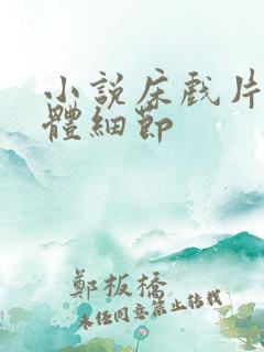 小说床戏片段具体细节