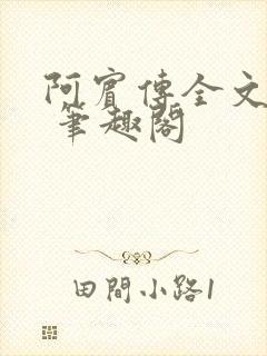 阿宾传全文阅读 笔趣阁
