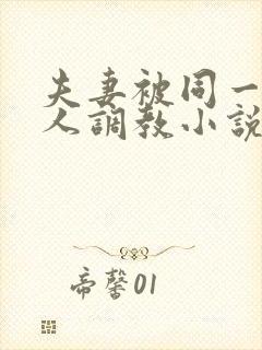 夫妻被同一个主人调教小说