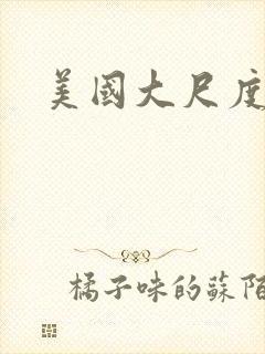 美国大尺度伦理