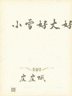 小雪好大好紧