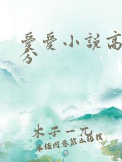 爱爱小说高潮部分