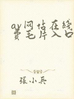 av网站在线免费毛片入口
