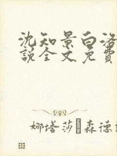 沈知景白洛洛小说全文免费阅读