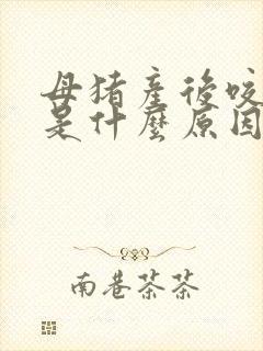 母猪产后咬小猪是什么原因