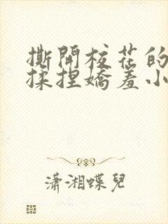 撕开校花的乳罩揉捏娇羞小说