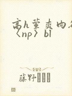 高h荤爽肉欲文〈np〉bl