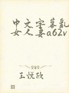 中文字幕乱码熟女人妻a62v网站