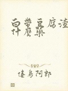 白带豆腐渣样放什么药