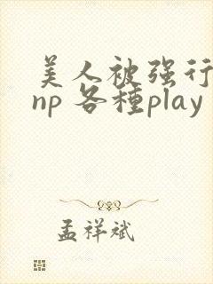 美人被强行糟蹋np 各种play