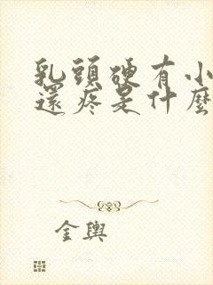 乳头硬有小疙瘩还疼是什么原因