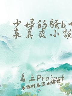 少妇的骚b艹起来真爽小说