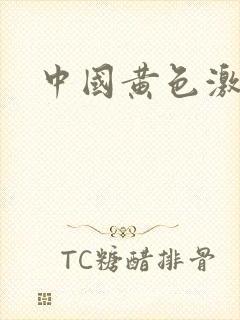 中国黄色激情片