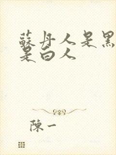 苏丹人是黑人还是白人