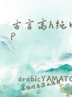 古言高h纯肉np