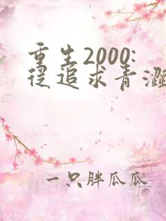 重生2000:从追求青涩校花同桌开始正