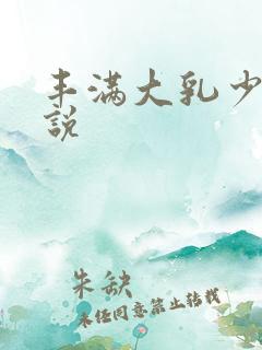 丰满大乳少妇小说