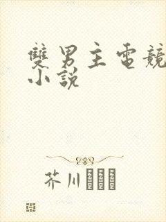 双男主电竞甜文小说