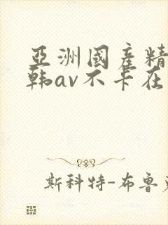 亚洲国产精品日韩av不卡在线