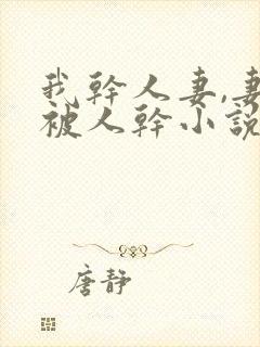 我干人妻,妻也被人干小说