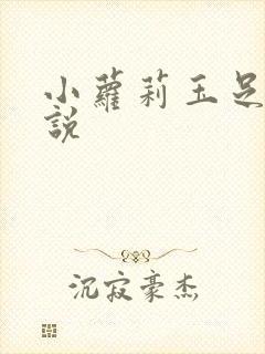 小萝莉玉足h小说