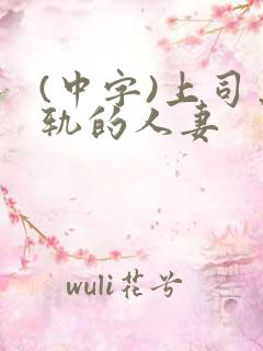 (中字)上司出轨的人妻