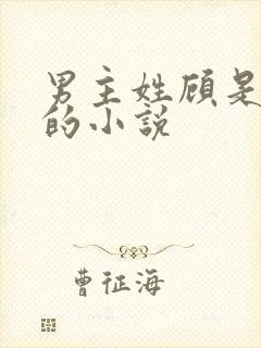 男主姓顾是影帝的小说