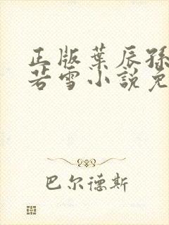 正版叶辰孙怡夏若雪小说免费阅读